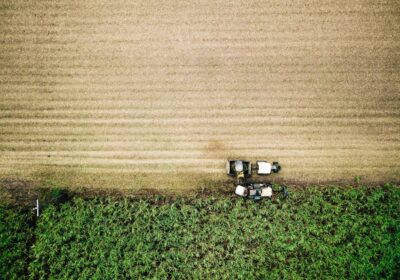Cum afectează schimbările climatice recoltele globale