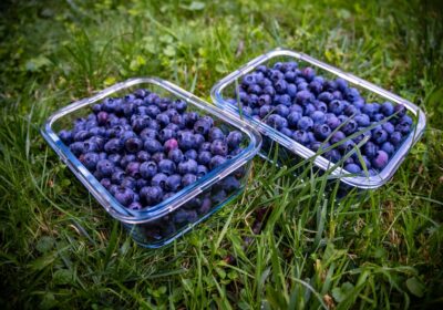 Pregătire pentru o vară activă și sănătoasă