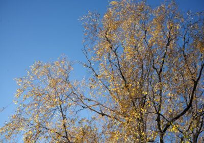 Cele mai interesante locuri de vizitat în timpul toamnei