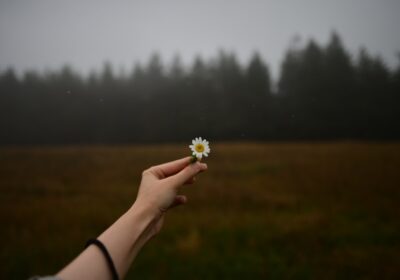 Citate despre speranta si viitor