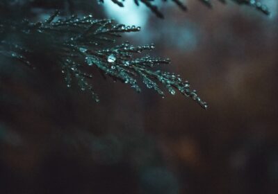 Cum se scrie corect vre-un sau vreun