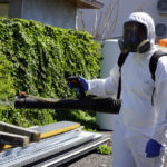 Cum scapi de șobolani în spațiile comerciale