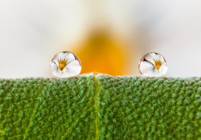 Cum sa faci bani cu dropshipping