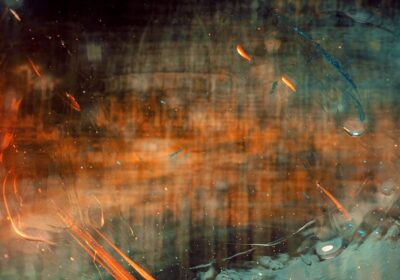 Ce inseamna cand visezi flori