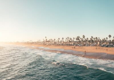 Cum se scrie corect fi sau fii