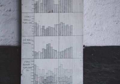 Interpretarea corectă a datelor statistice INS despre nivelul de trai