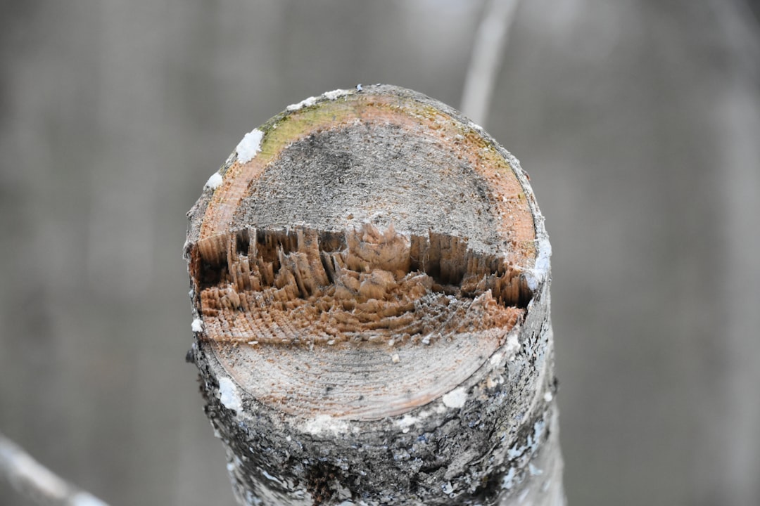Photo seasonality