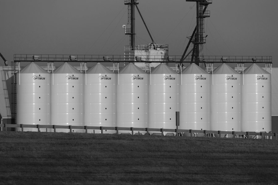 Photo lactate storage