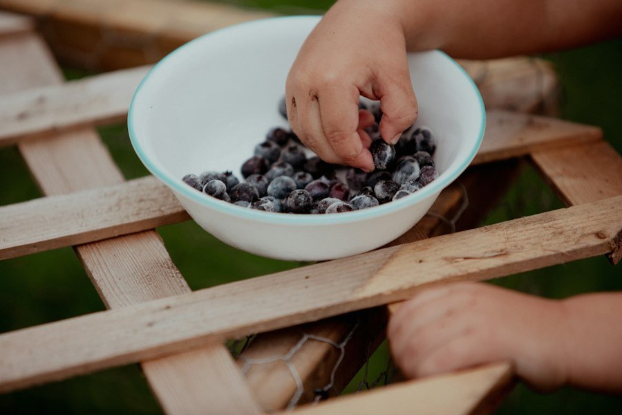 Photo healthy snacks for kids