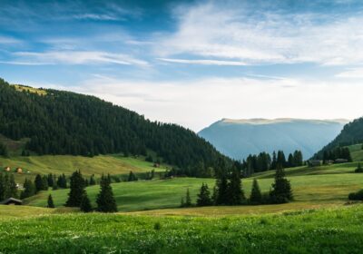Cum poți organiza un prânz echilibrat la birou