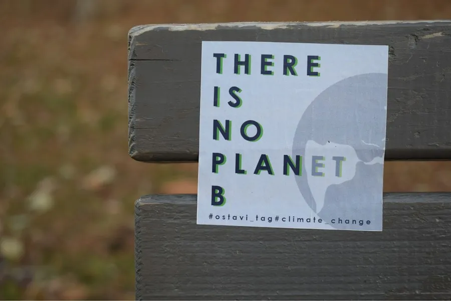 environmental awareness infographic