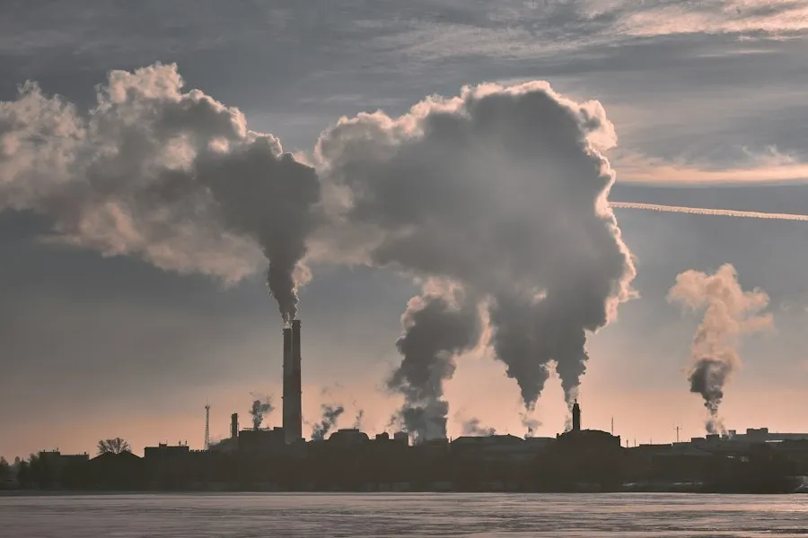 common environmental mistakes